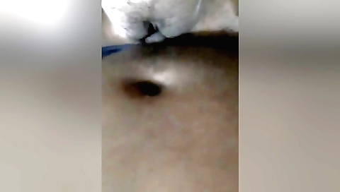 Indian couple in amateur pov video sucking each other