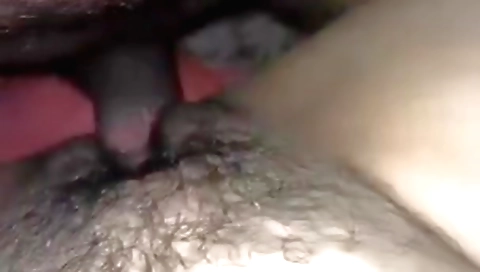 Indian hairy porn video with a hairy mature auntie
